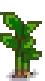 Taro Stage 4.png