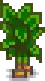 Taro Stage 5.png