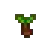 Taro Tuber.png