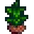 Tea Sapling.png