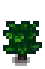 Tea Stage 2.png