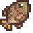 Tilapia.png