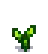 Tomato Stage 2.png