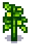 Tomato Stage 5.png