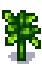 Tomato Stage 7.png