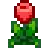 Tulip.png