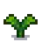 Tulip Stage 4.png