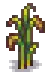Unmilled Rice Stage 5.png