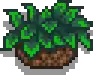 Wall Basket.png
