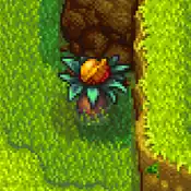 Walnutoutsideqi.png