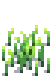 Wheat Stage 3.png