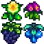 Wild Seeds Stage 3.png