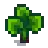 Yam Stage 4.png
