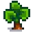 Yam Stage 5.png